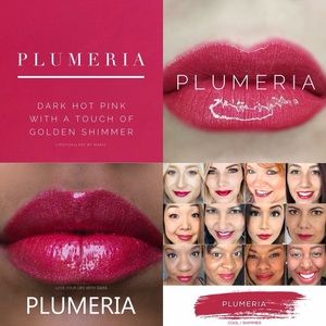 Plumeria lipsense 💕